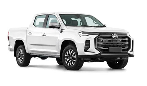 Installation Options for LDV T-60 2021 - Current